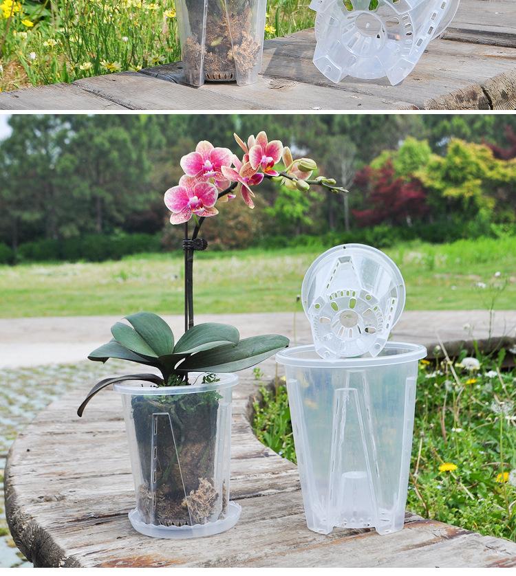 Transparenter Kunststoff-Orchideentopf mit Drainagelöchern und Untersetzer Wurzelkontrolltopf für Moospflanzen Sichtbares Wurzelwachstum und Luftzirkulation 14 cm Durchmesser