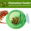 Arboreal Reptile Live Anti-Escape Sucker Feeder Bowl Insect Worm Food Container For Lizard Gecko Chameleon Reptile Pet Bowl