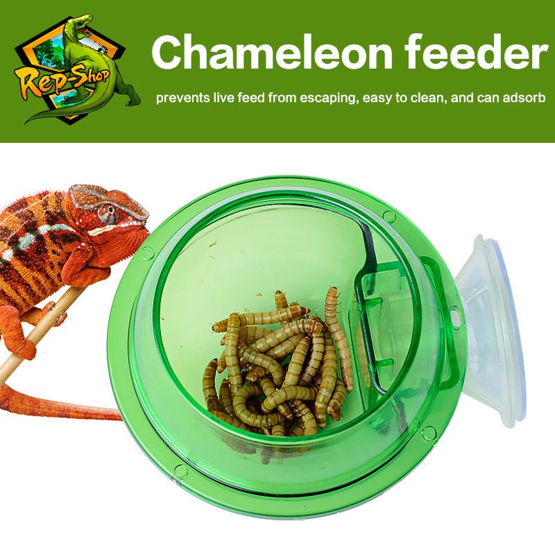 Arboreal Reptile Live Anti-Escape Sucker Feeder Bowl Insect Worm Food Container For Lizard Gecko Chameleon Reptile Pet Bowl