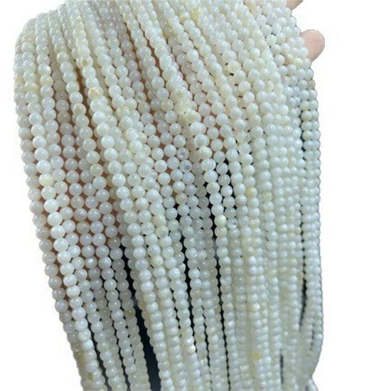 Handmade DIY Natural Freshwater Shell Round Loose Beads Rope Necklace