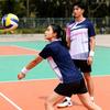 Quick-Dry Sportswear: Badminton & Table Tennis Jerseys, Tennis Tees, Women's Volleyball Uniforms