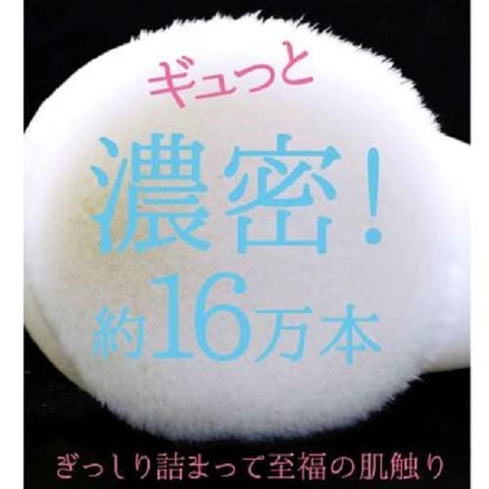 Japanese Product Riyon Planning NYF-800 Facial Cleansing Brush