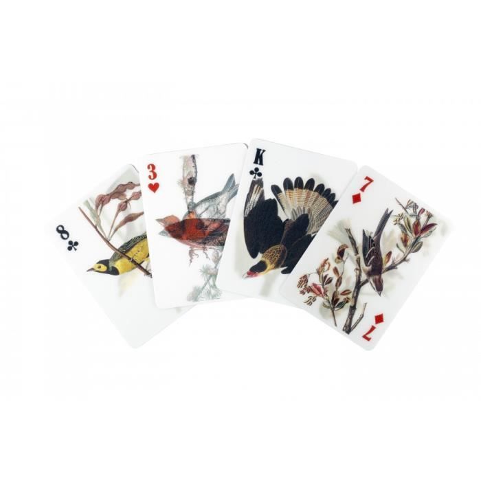 3D Playing Cards - Kikkerland - Bird - Unique Design - High Quality - Display 12 Pieces