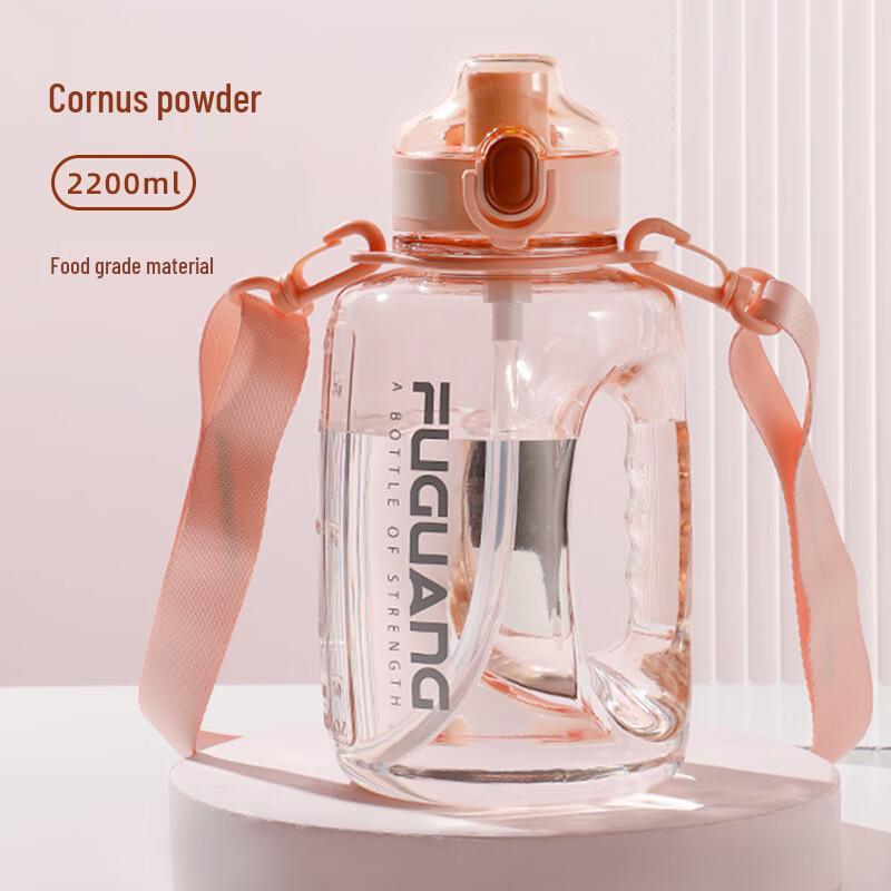 Fuguang Portable Infuser Water Bottle
