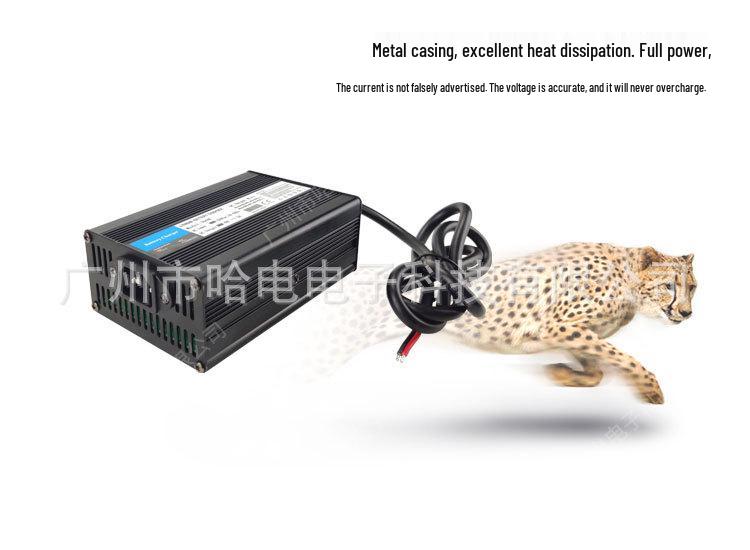 24V/29.2V 10A Lithium Battery Charger for Bumper Cars & Electric Wheelchairs with Overvoltage and Overcurrent Protection.