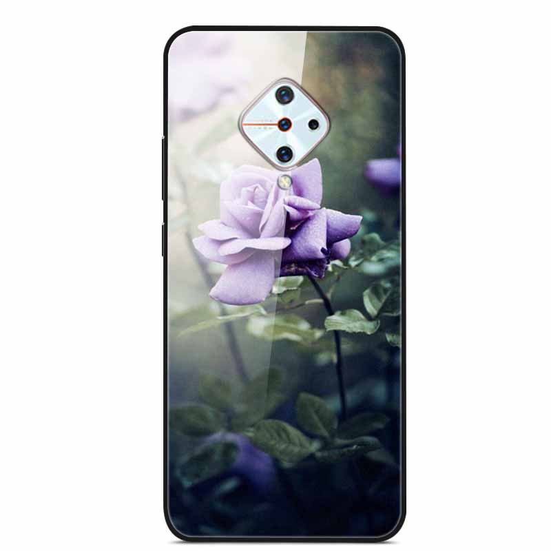 Tempered Glass Case For Vivo V17 Case Russia Glass Back Cover Soft Bumper For Vivo V17 Phone Cases V 17 Funda Y9s S1 Pro Coque