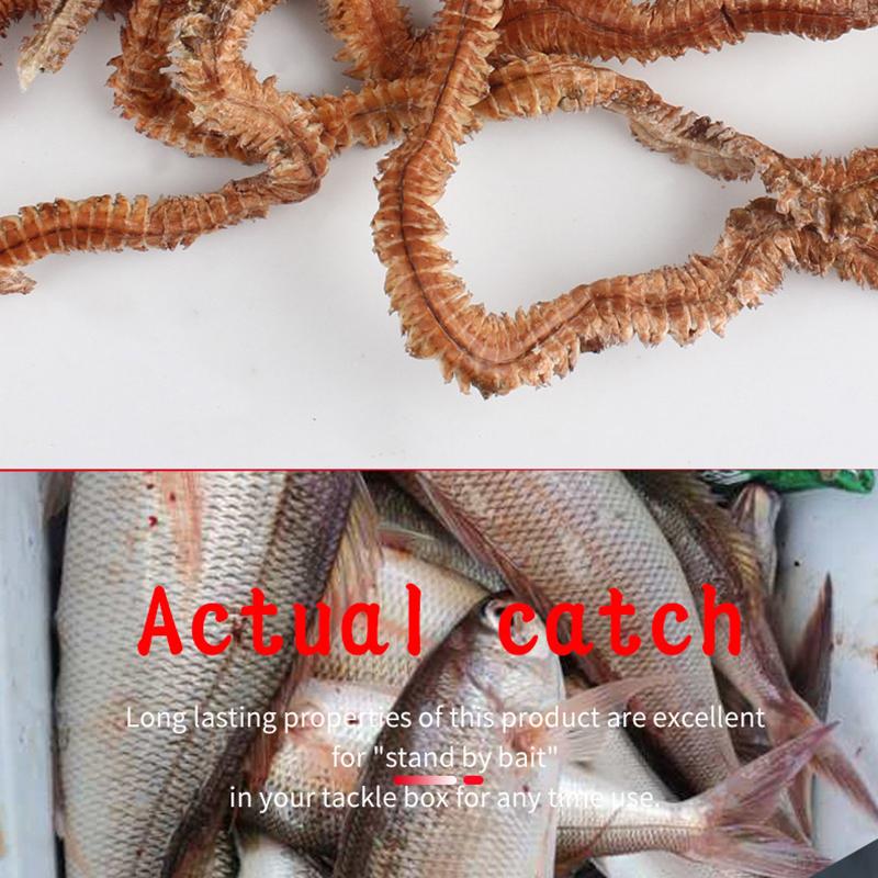 Natural Dry Sandworm 10G Fishing Lures Outdoor Angling Tournament Seductive Food Carp Catching For Winter Ice Sea Fishing