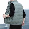 Men's 80% Down Vest - Autumn/Winter 2025, Loose Fit, Stand Collar, Sleeveless Casual Jacket