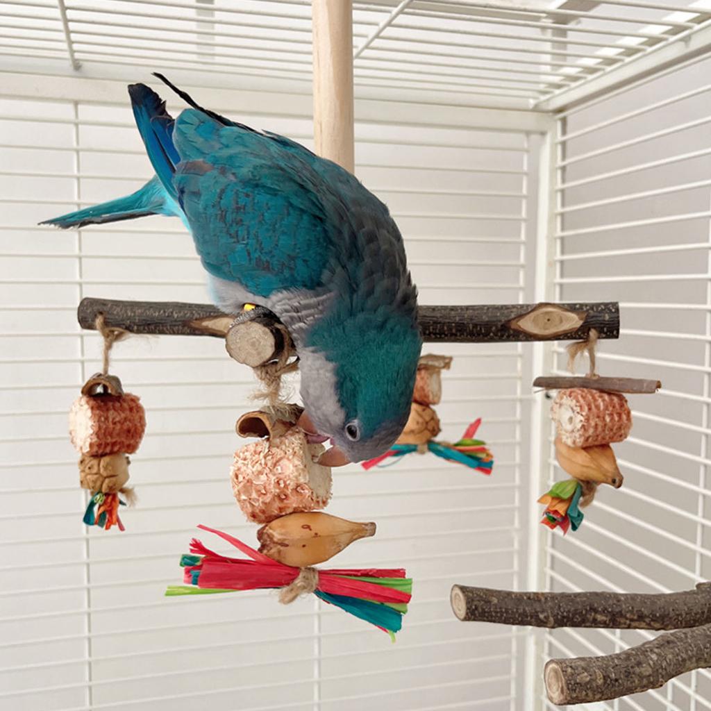 Rotating Parrot Perch Toy Interactive Training Wooden Bird Stand Exercise Toy with Chew Toy for Bird