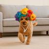 Pet Supplies Colorful Pet Costume Wig Adorable Cute Pet Wavy Curly Wig Adjustable Decorative Dog Hairpiece Pet Show