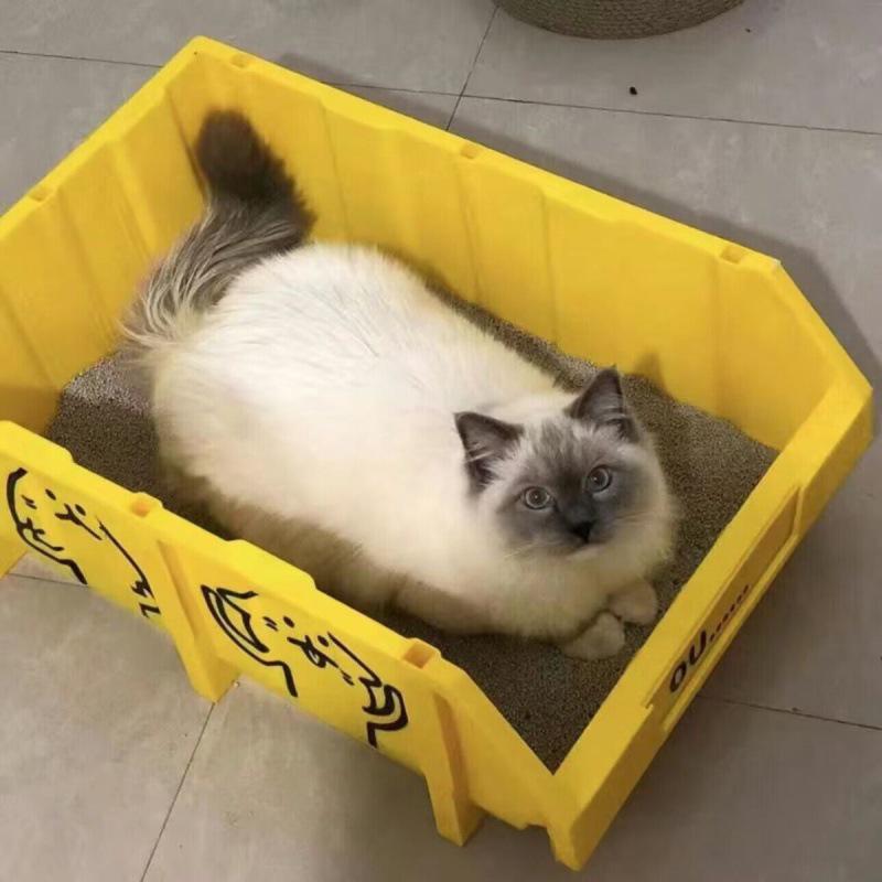 Очень большая кошачья туалетная коробка Jumbo для гигантов - Полностью открытая для мейн-кунов Default