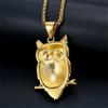 Iced Stainless 316L Titanium Steel Bling Owl Animals Pendant Necklaces for Men Women No Fade Punk Rock Hip Hop Jewelry