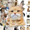 50 Pieces Cat PET Stickers Cute Realistic Cat Meme Emoji Decals Decorate Water Cups Stationery Suitcases Fridges Laptops Notebook Scrapbook