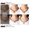 Colantotte 2025 Limited Edition AURA PREMIUM BOX Magnetic Necklace Mens Gift Christmas