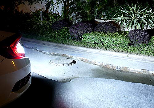 KIYOYO T16/T15 W16W LED Back Lamp Explosive Light 1200LM High