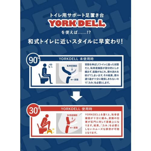 CB Japan Step Stool, Beige, 100kg Weight Capacity, Toilet Support, Yorkdel