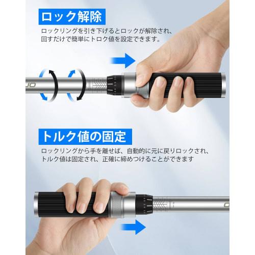 GOYOJO Torque Wrench, Preset Type, 3/8" Drive, 5-60N.m, Bi-Directional, }3% Torque Accuracy, for Automotive, Bicycle, Motorcycle, and Machine Maintena