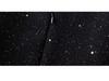 Autumn/Winter 2025 Women's Versatile High-Waisted Sequin A-Line Skirt