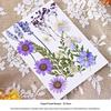 Nordic Creative DIY 3D Dried Flower Frame Kit - Simple Metal & Glass with Glue