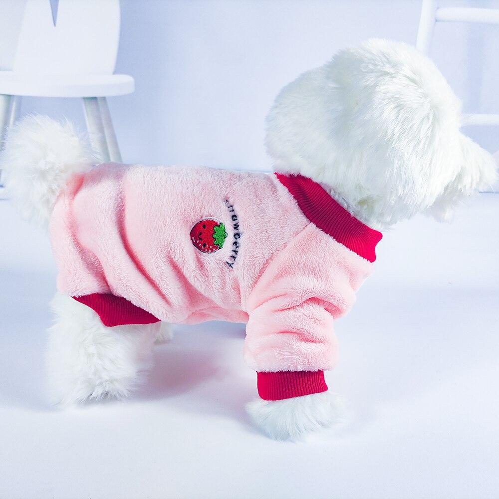 dog apparel australia