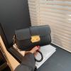 Trendy Small Crossbody Bag For Women Stylish Chain Shoulder Handbag In Black White Coffee Brown Colors