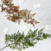 Artificial Green Plant With Fern Leaves For Wedding Decor And Home Styling