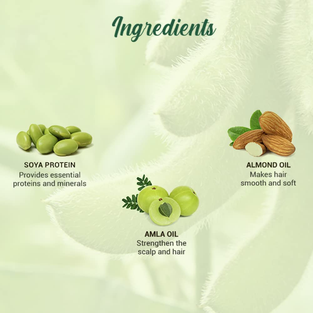 Biotique Bio Soya Protein Shampoo Fresco Nutriente | Ripara Capelli Secchi e Danneggiati | Mantiene l'Equilibrio del pH | Promuove Capelli Sani e Lucidi | Previene il Colo