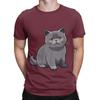 Cute British Shorthair poster Novelty 100 Cotton TShirt Shorthair Tees Tops For Unisex