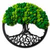 Moss Tree of Life