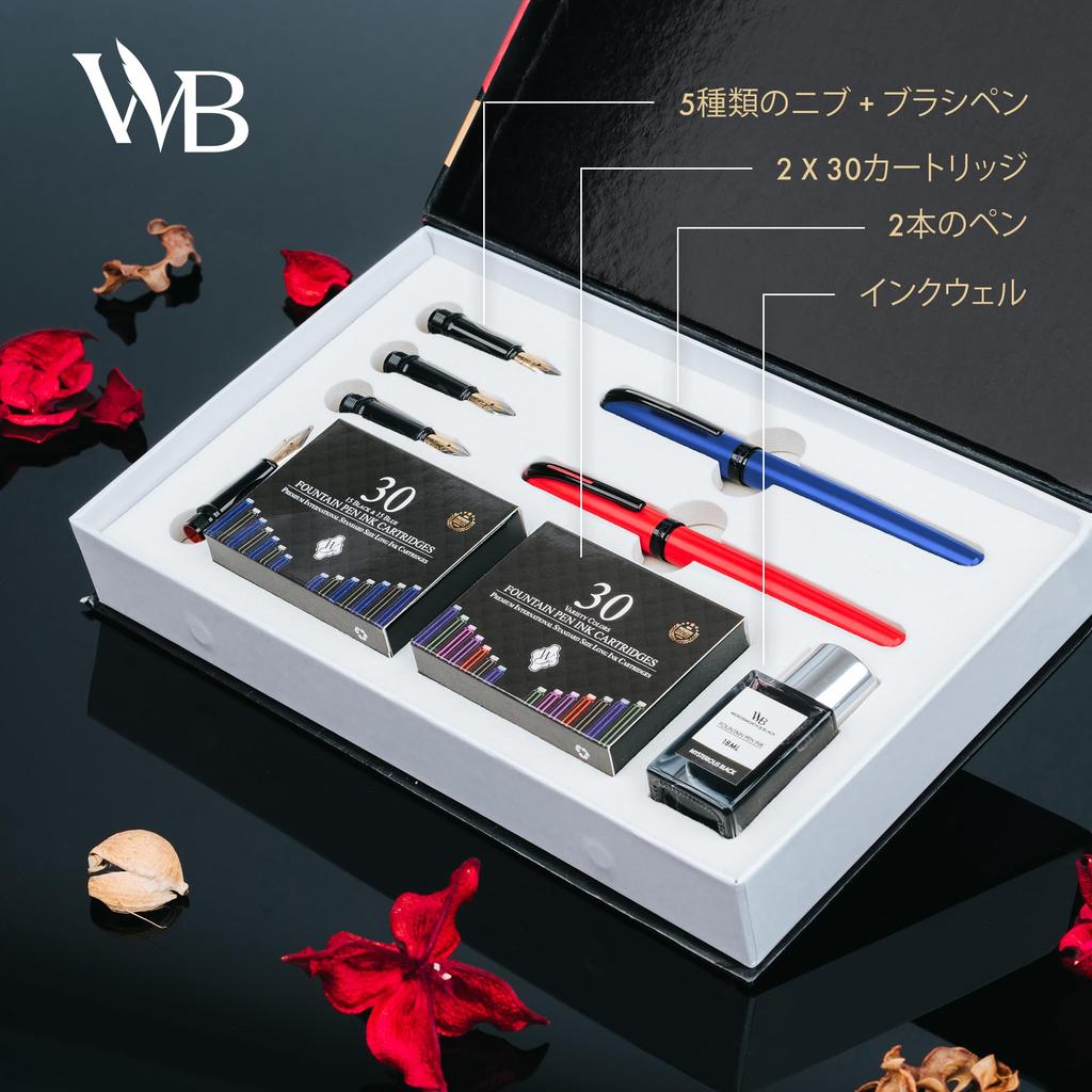 Wordsworth and Black Fountain Pen Set Blue Includes 2 18ml Ink 60 Ink Ink Refill 1 Medium 4 Broad and a Brush Pen Fountain Pen Set - - Pens, Bottle,