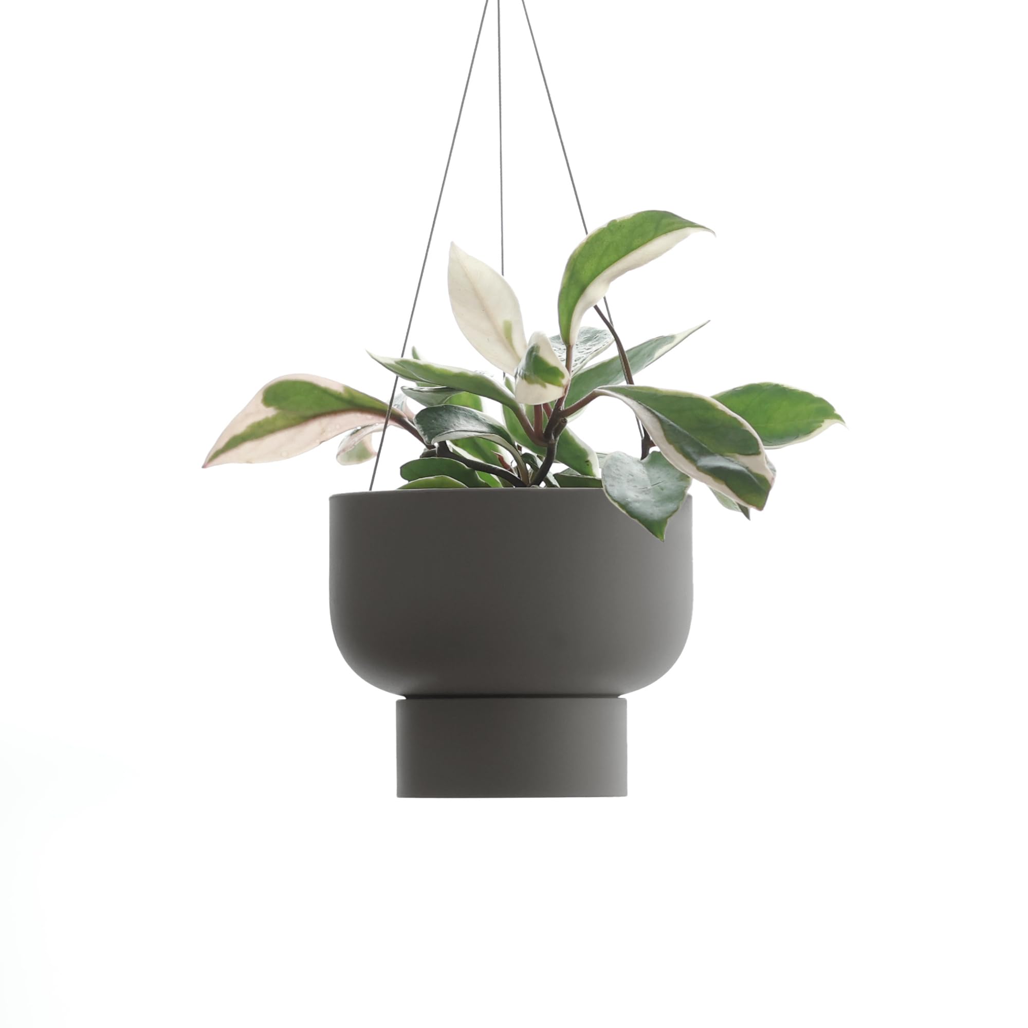 

marna Hanging Plant Pot (155mm) with Adjustable Height for Easy Drainage of Water, Stone Gray, S508GY