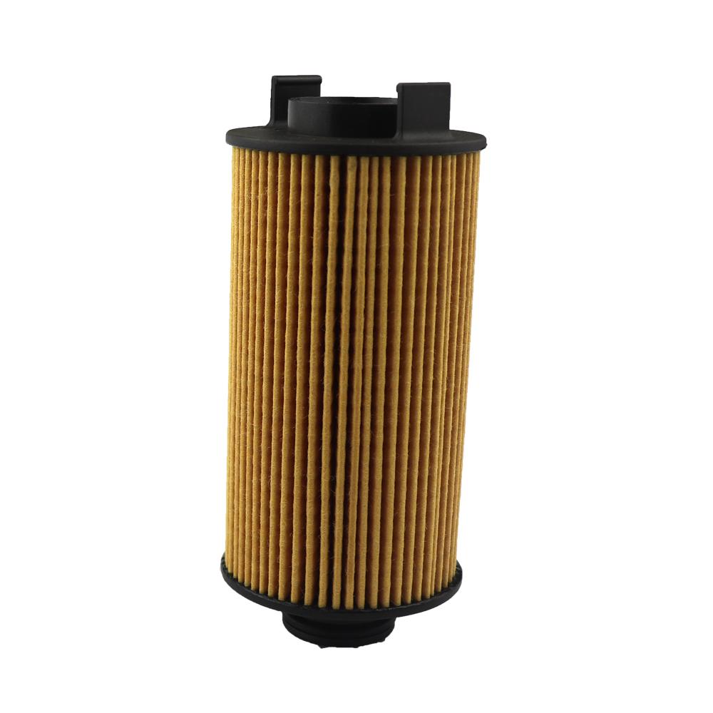 A700000017 Car Oil Filter For Borgward BX5 BX6 BX7 TS 2017 2018 2019 2020 2021 B00016679