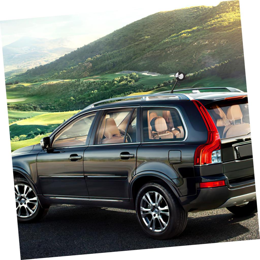 CALLARON Autoantennenkugel Auto Dekoration Antennendekoration Auto Dach Dekoration