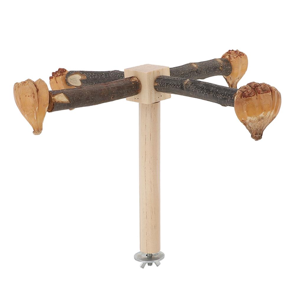 Rotating Parrot Perch Toy Interactive Training Wooden Bird Stand Exercise Toy with Chew Toy for Bird
