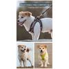 Dog Harness Leash Set for Small Medium Dog Adjustable Reflective Puppy Cat Harness Pet Vest Chihuahua Dachshund Outdoor Walking