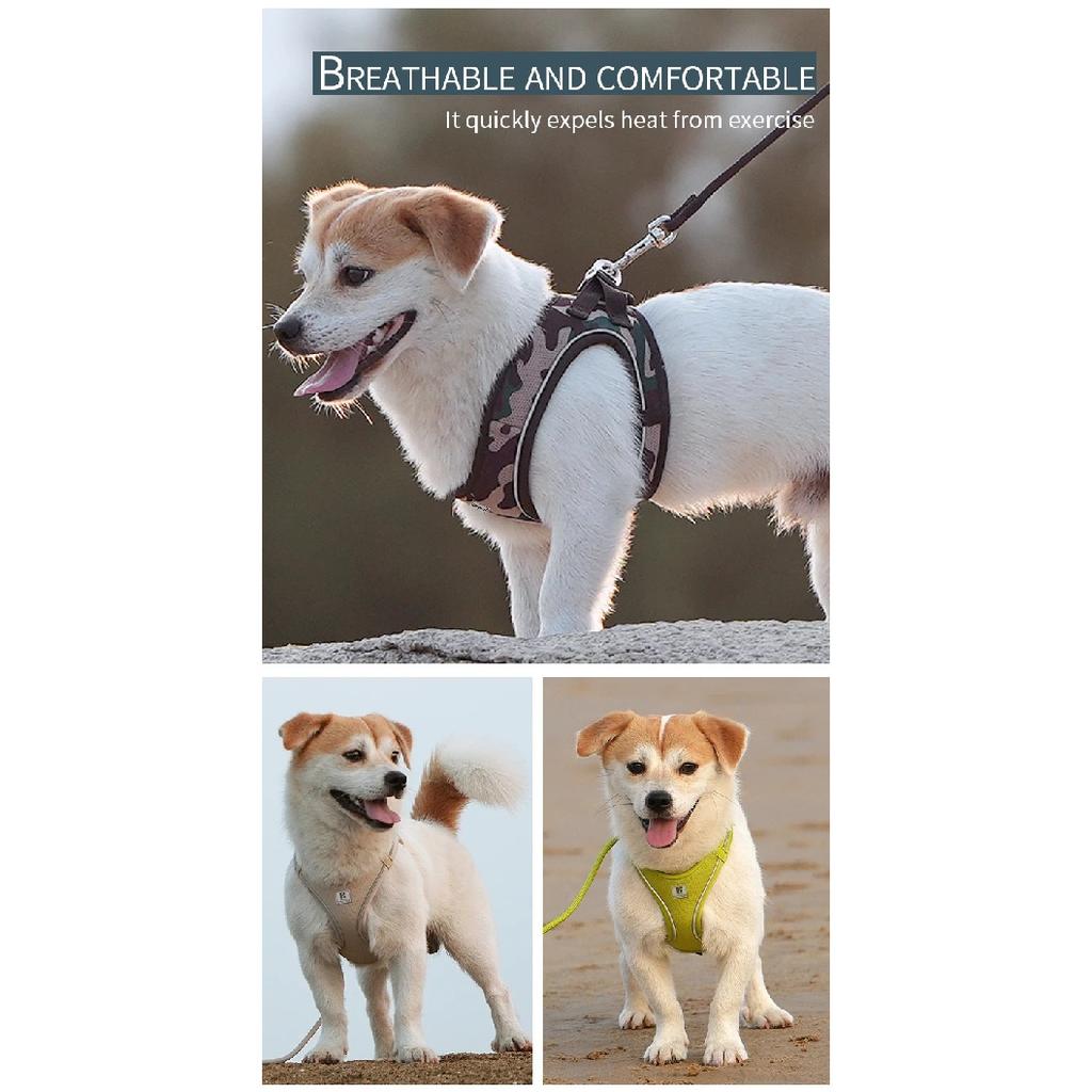 Dog Harness Leash Set for Small Medium Dog Adjustable Reflective Puppy Cat Harness Pet Vest Chihuahua Dachshund Outdoor Walking