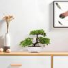 Artificial Bonsai Plastic Bionic Plant Indoor Small Simulation Plant Decoration Garden Desk Home Office Bathroom Room Decoration