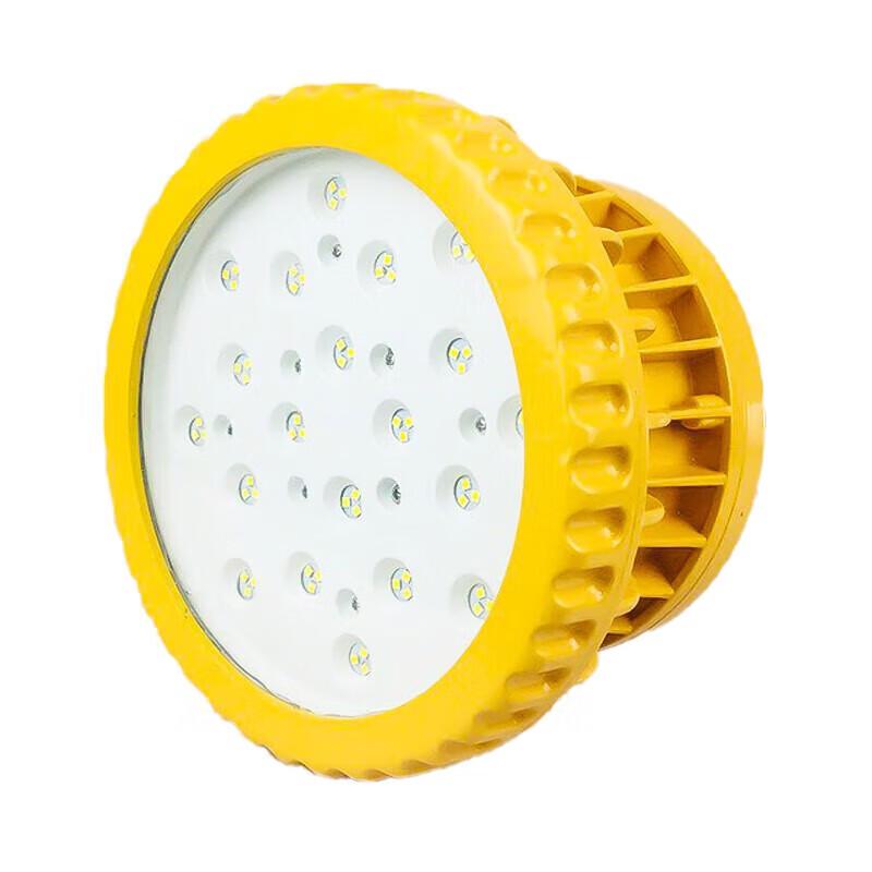 SOR Explosion-Proof LED Floodlight
