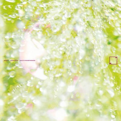 LP-Schallplatte OCEAN MOON - Ways To The Deep Meadow MFM073 Music From Memo 2025 Niederlande Tanz & Elektronik