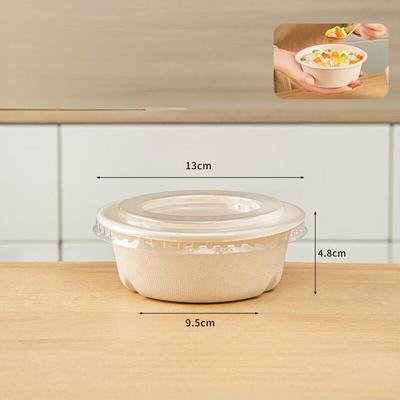 Gatti – Distributori di cibo e acqua per gatti