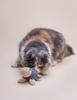 Rustling Toy Mr Turtle Nightshadow Blue One Size Nightshadow Blue