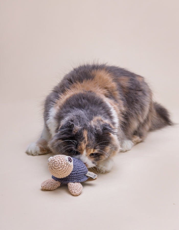 Rustling Toy Mr Turtle Nightshadow Blue One Size Nightshadow Blue
