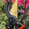 10 Inch Golden Eagle Beak Fruit Tree Pruning Shears, Rough Branch, Energy Efficient Flower Gardening, Home Use
