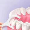1000 Pièces Nettoyage des Dents Fils Dentaires Cure-Dents Ultra-Fins Bâtonnets de Fil Dentaire Brossettes Interdentaires