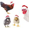 Headwear Chicken Holiday Costume Lizard Guinea Pig Santa Claus Merry Christmas Animal Scarf Pet Hat