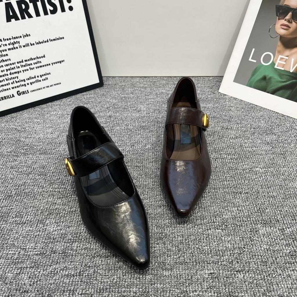 French thick heel single shoes women's 2025 autumn new metal buckle pointed head shallow mouth foreign style word with Mary Jane women's shoes