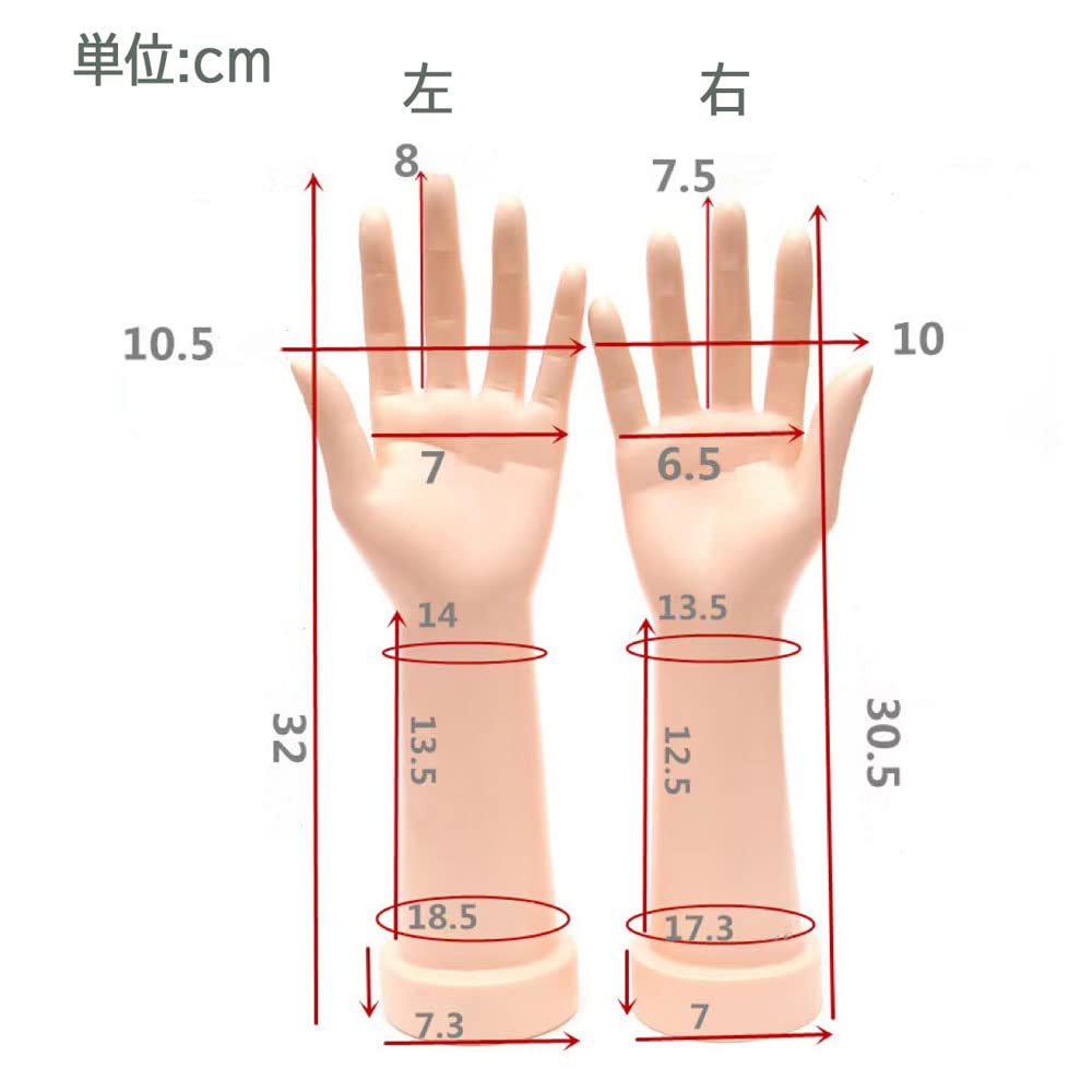 Hand Mannequin with Hand Stand, Two-Handed Set, Female Torso Mannequin, Drawing Model, 30cm, Skin Tone, Cosplay, Shop Display, Life-Size Figure, Doll,