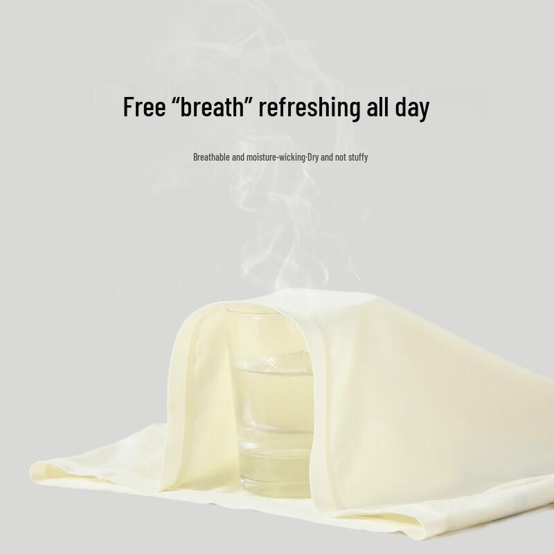 FENTENGCARE Women's 7A Antibacterial Cotton Briefs 6-Pack