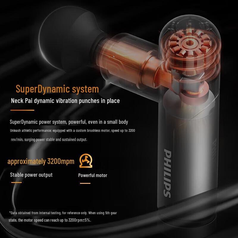 Philips PPM7308 Professional Full Body Muscle Massager