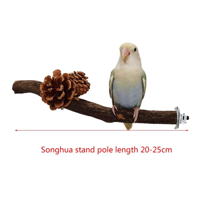 Bird Perch Stand Natural Wood Standing Climbing Tree Wine with Pine Cones Paw Grinding Toys for Birds Cage Accessories